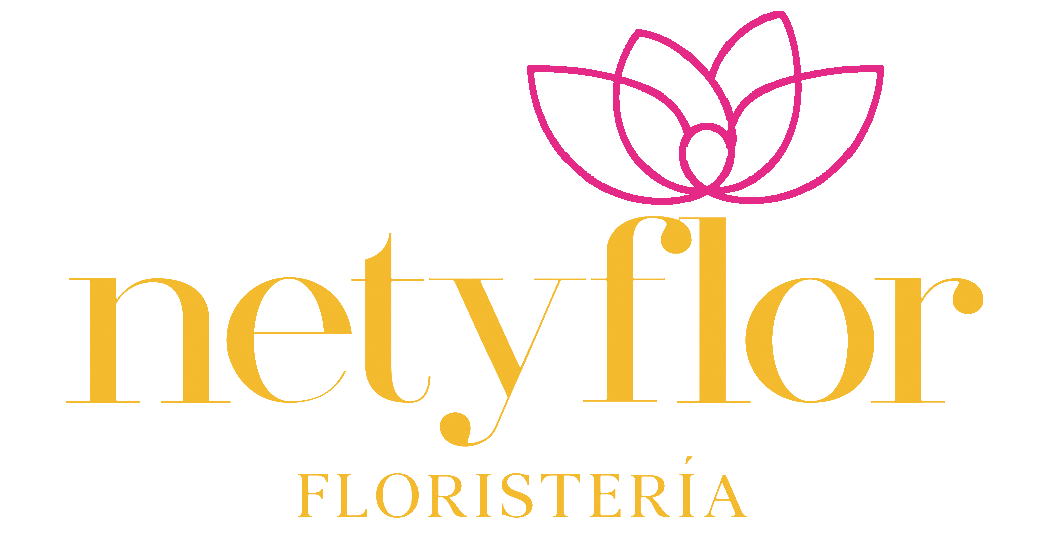 logo netyflor